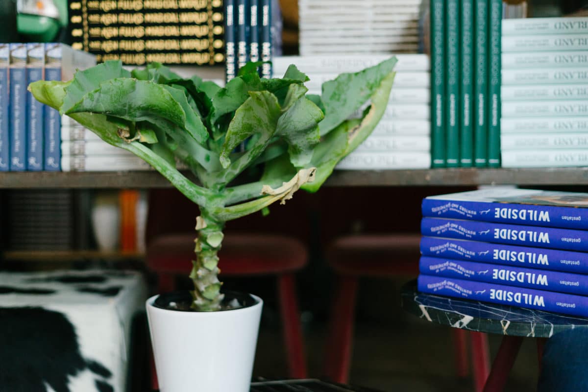 Friday Roundup: March 15