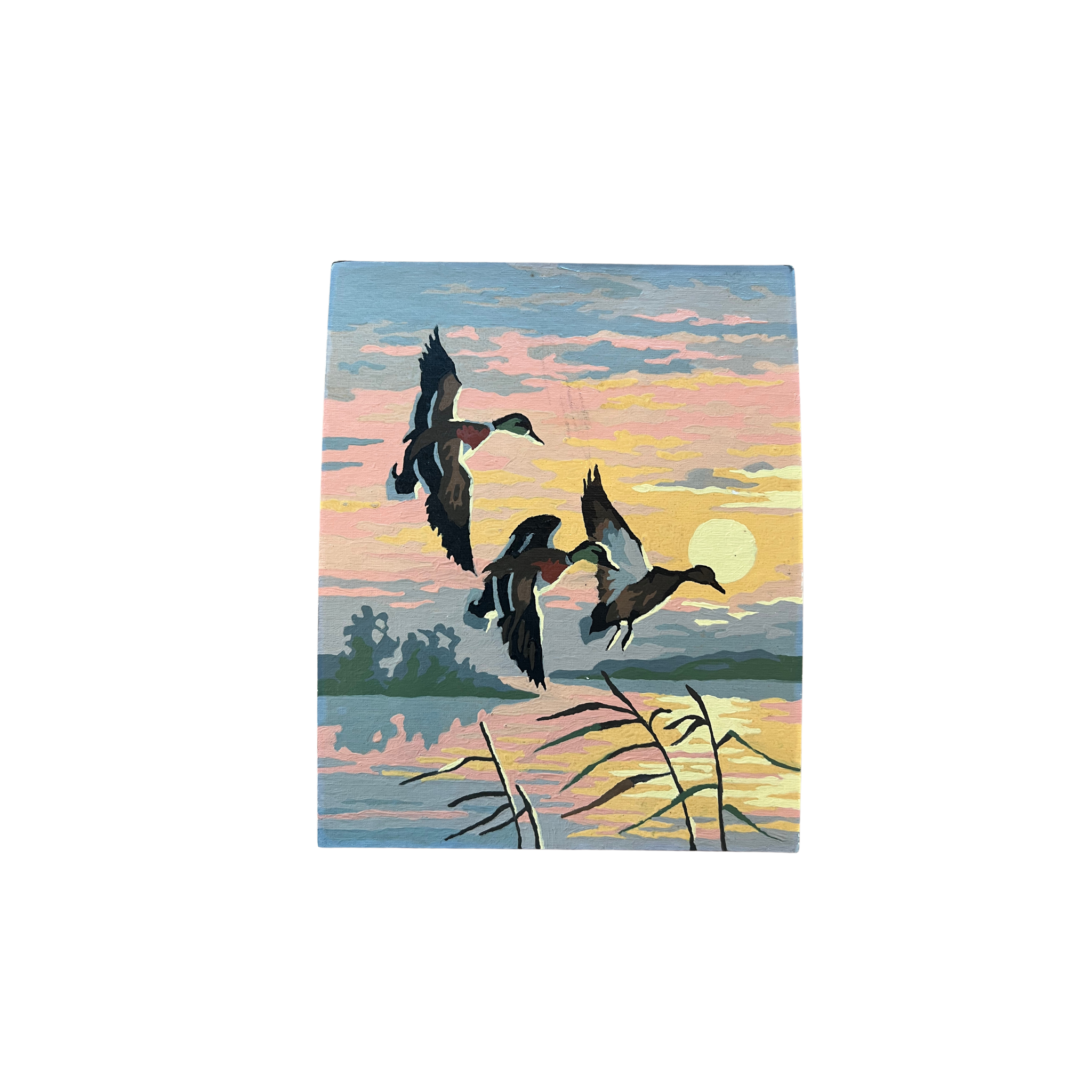 Flying Duck Painting