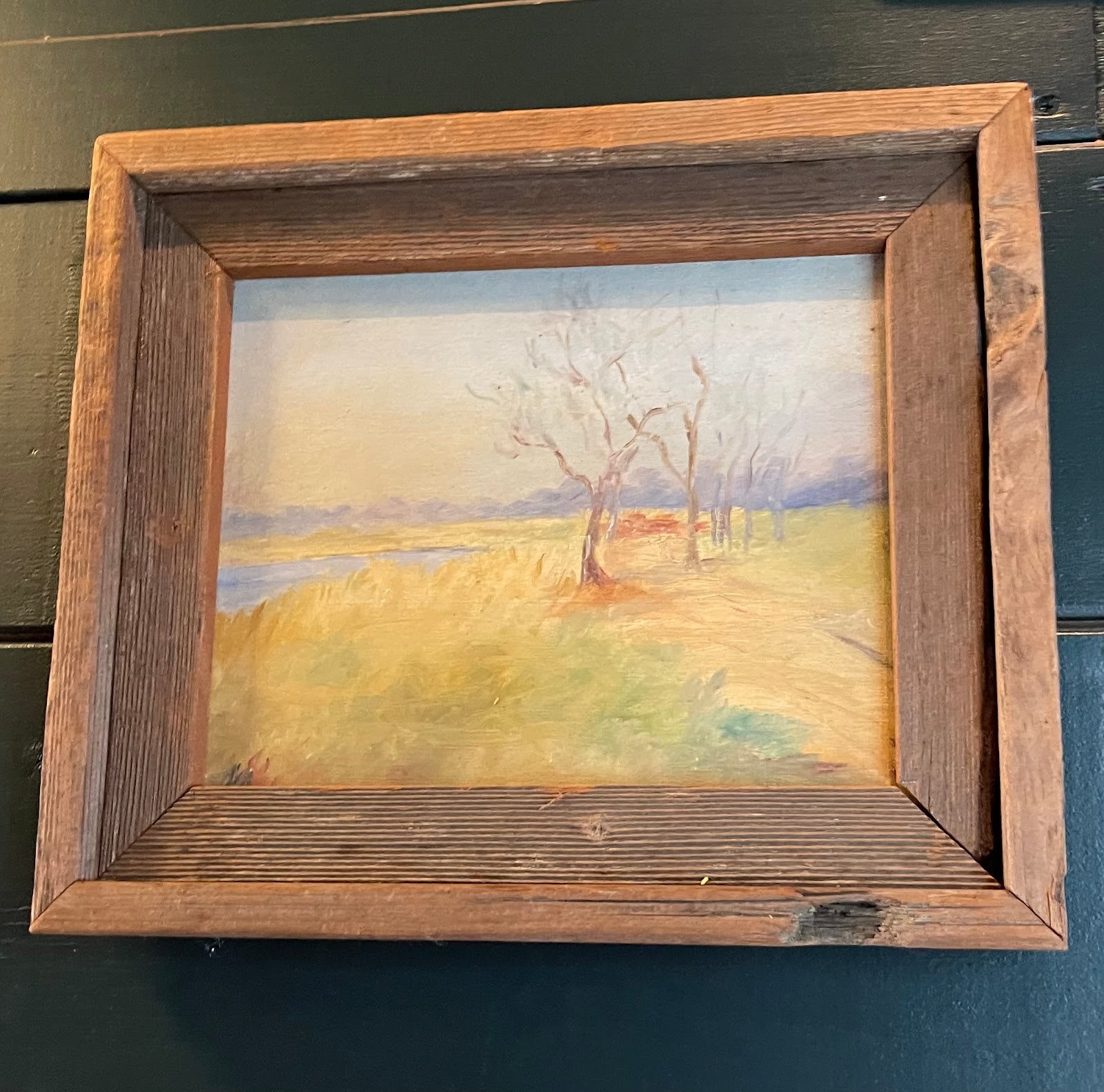 Line of Trees in the Grass