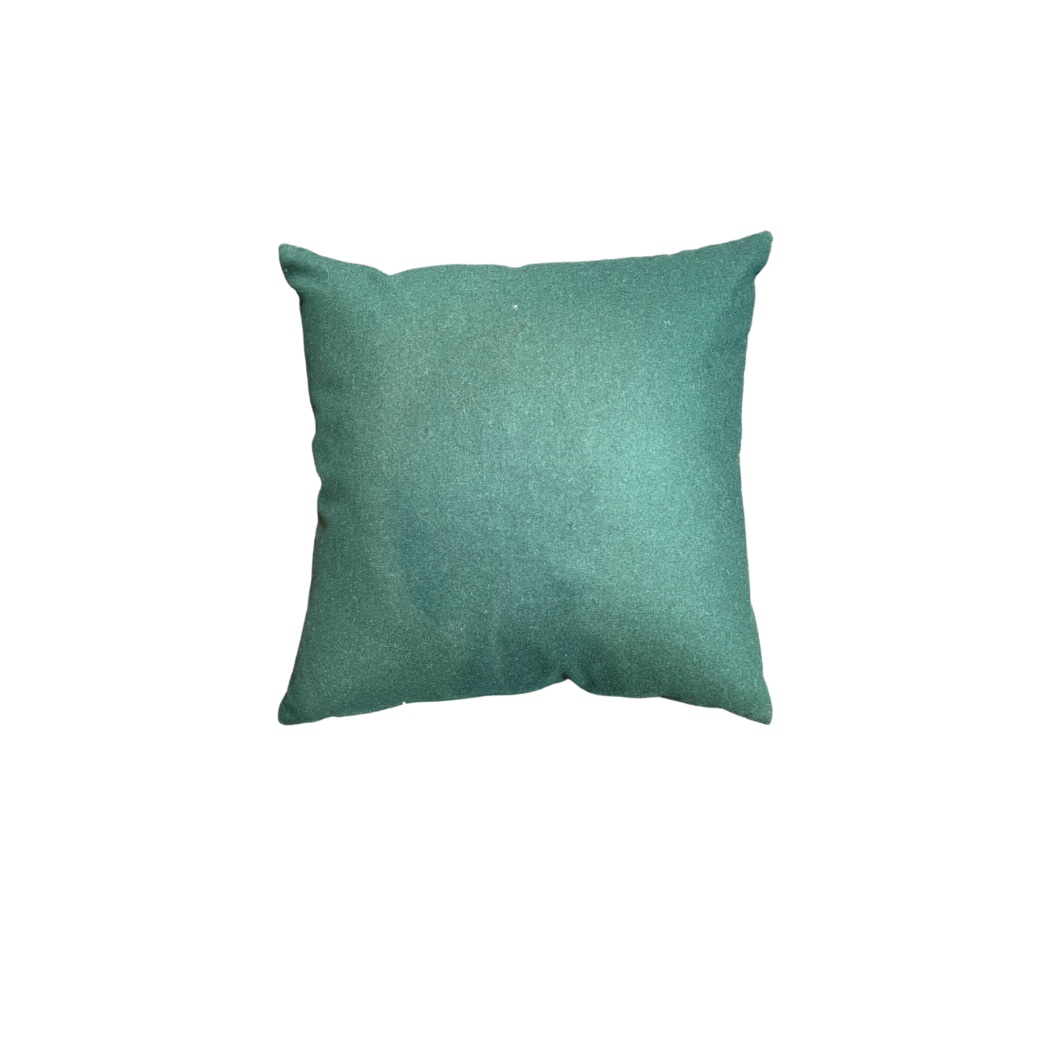 Jolly Green Pillow