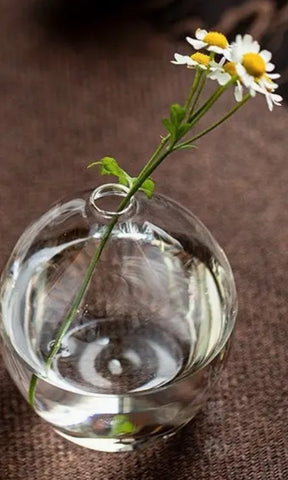Mini Glass Vase