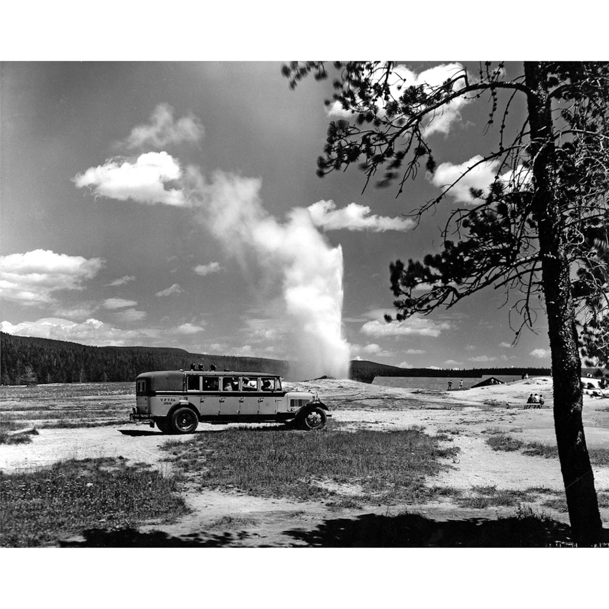 Bus at Old Faithful Geyser - ca. 1935 Silver Tone Photo
