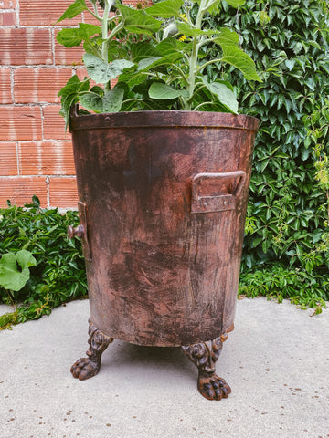 Iron Planter