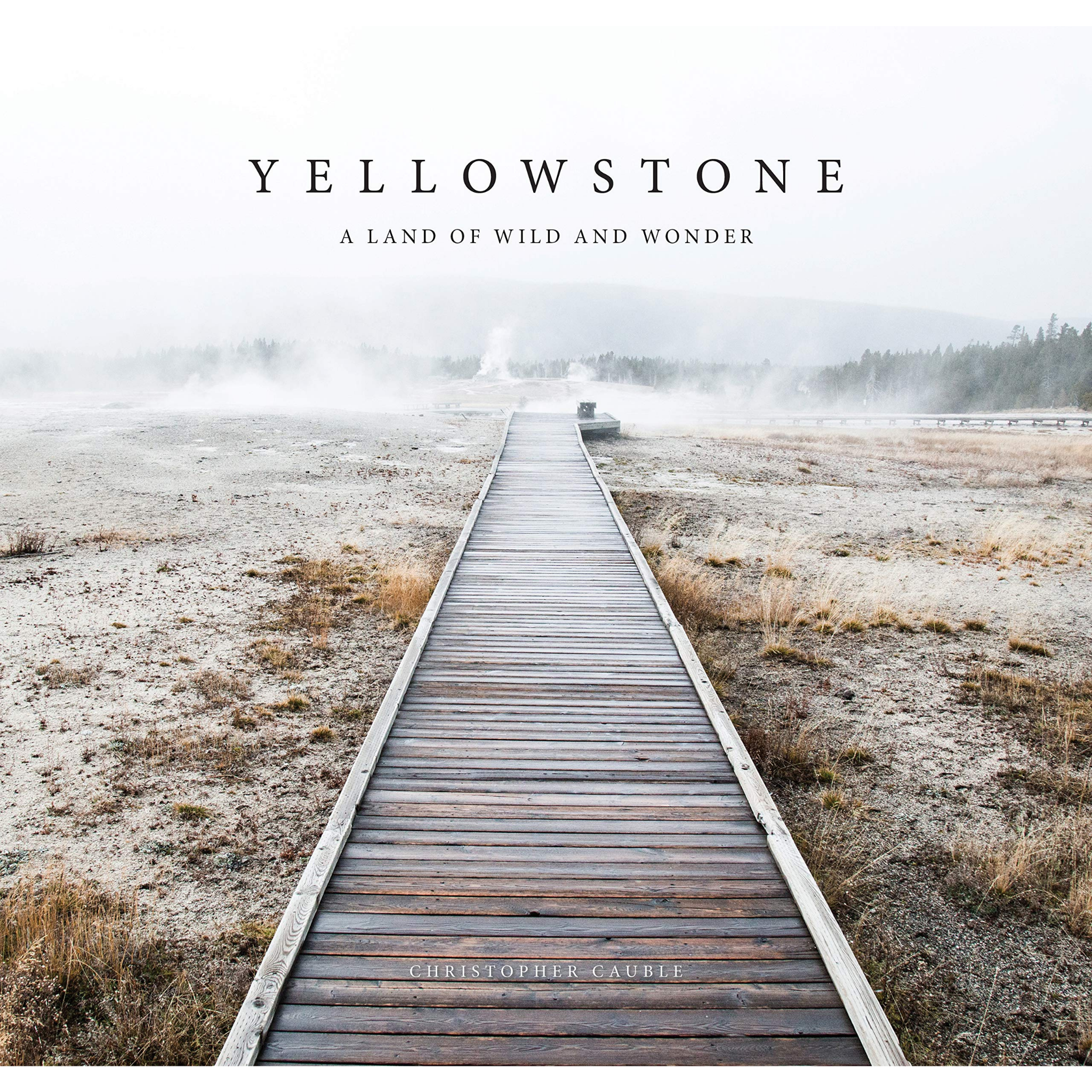 Yellowstone: A Land of Wild & Wonder