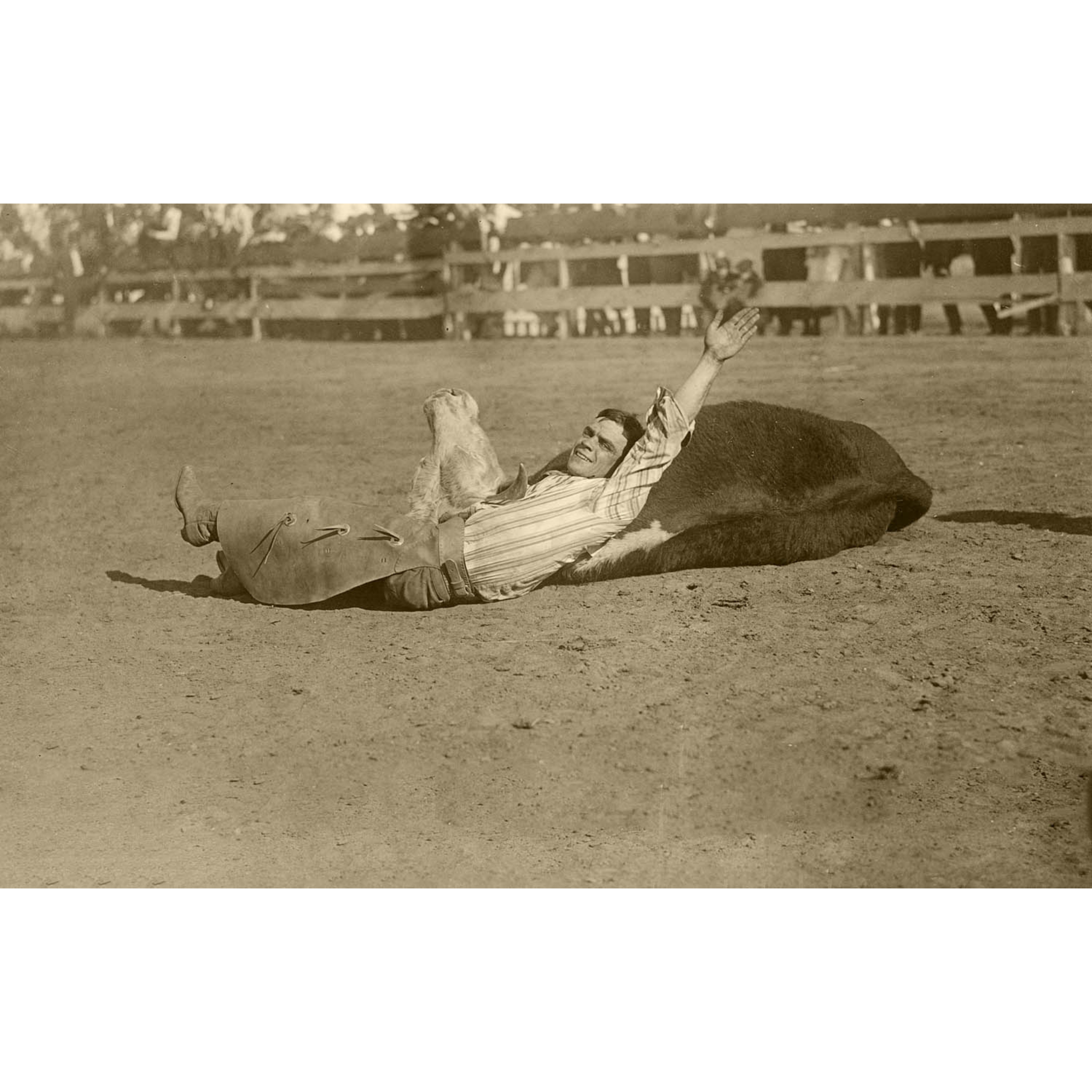 Rodeo Cowboys 9 - Cowboy Bulldogging - ca. 1916 Photograph