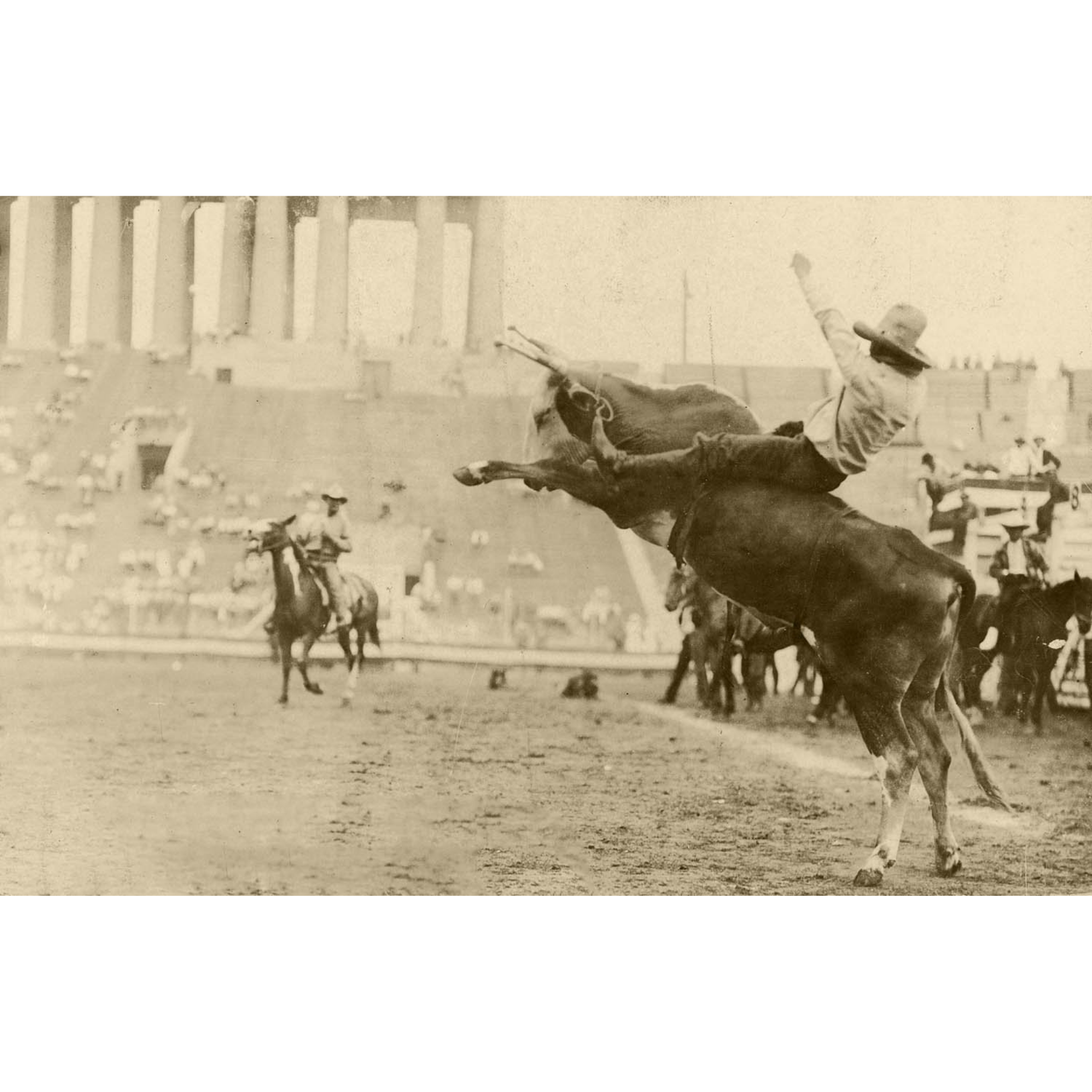 Rodeo Cowboys 12 - Riding Bull - ca. 1916 Photograph