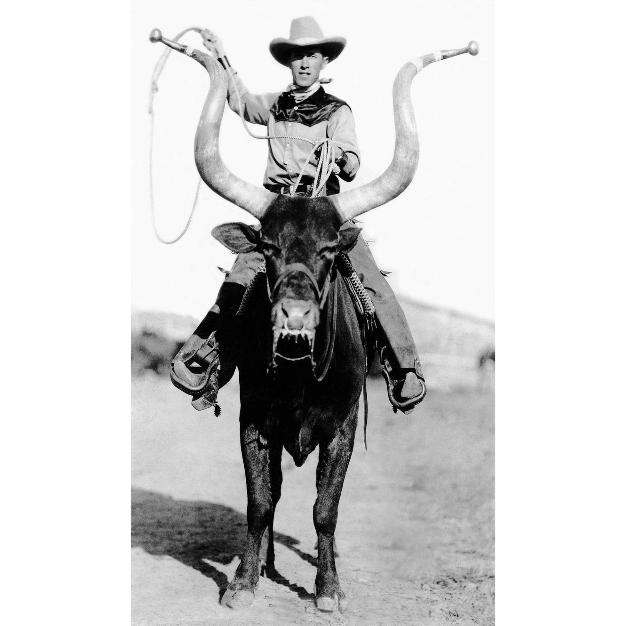 Rodeo Cowboys 16 - Cowboy on Longhorn - ca. 1916 Photograph