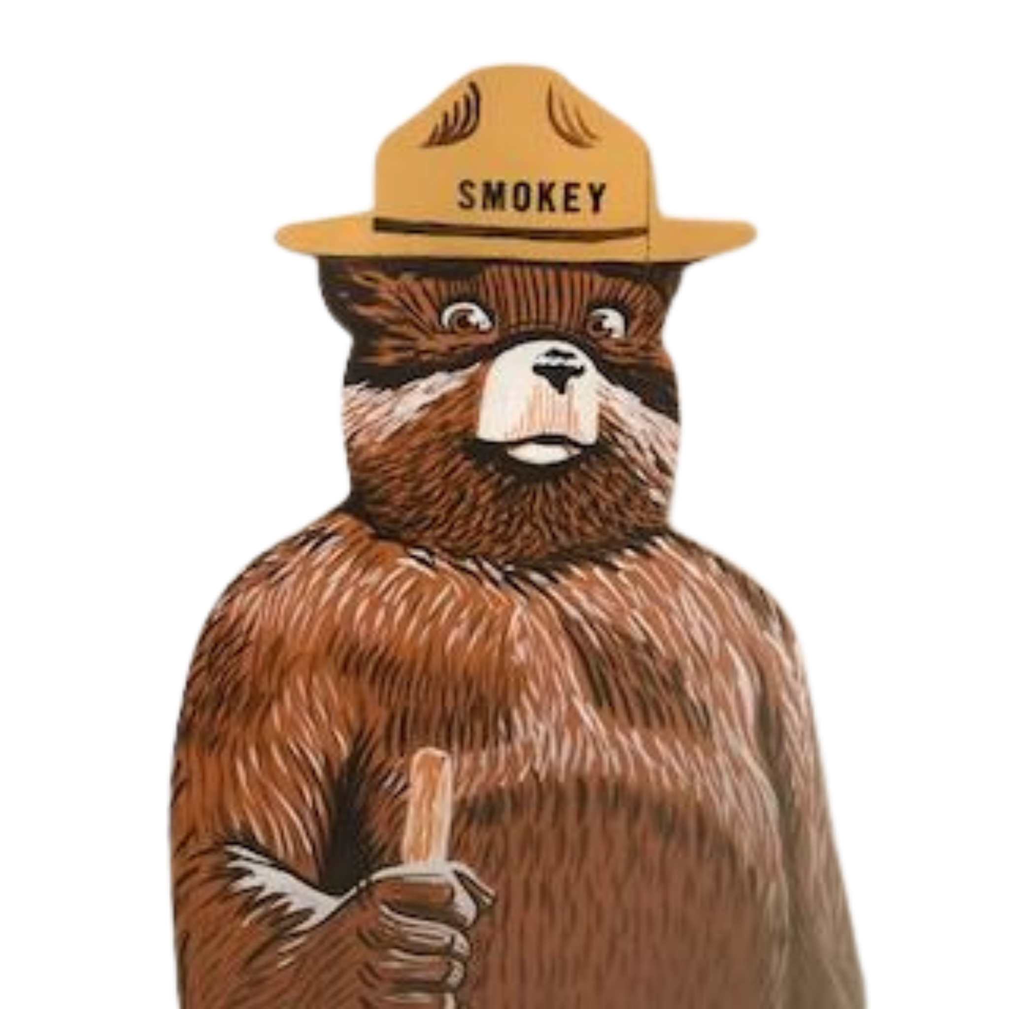 Smokey Bear Hand Painted Cutout