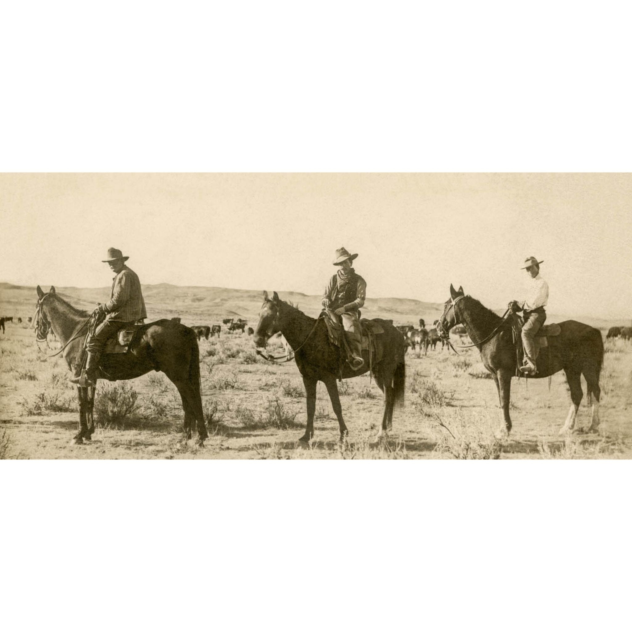 Cowboys near Terry MT - 1890 Evelyn Cameron Photograph