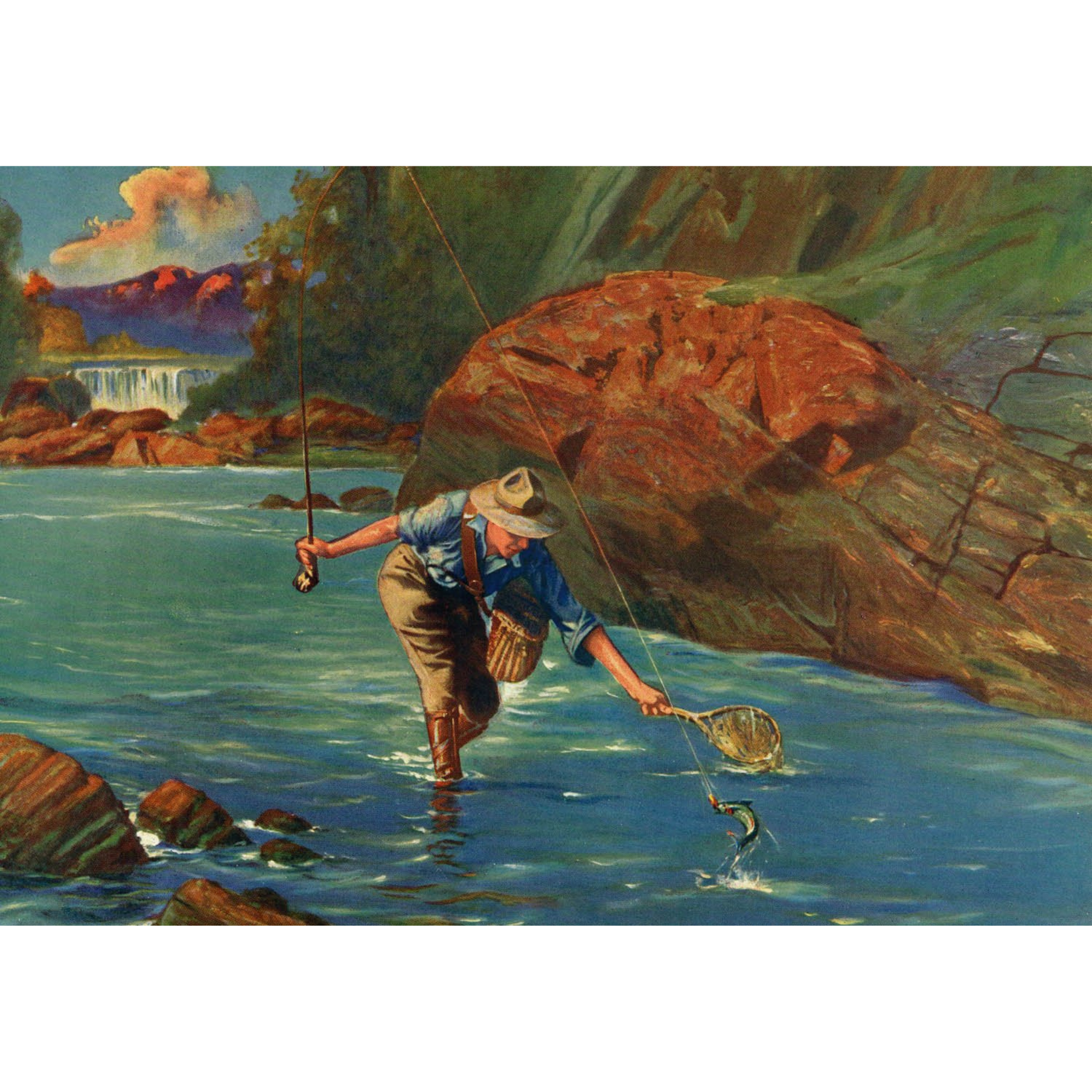 Man Netting Trout in Stream - ca. 1950 Lithograph