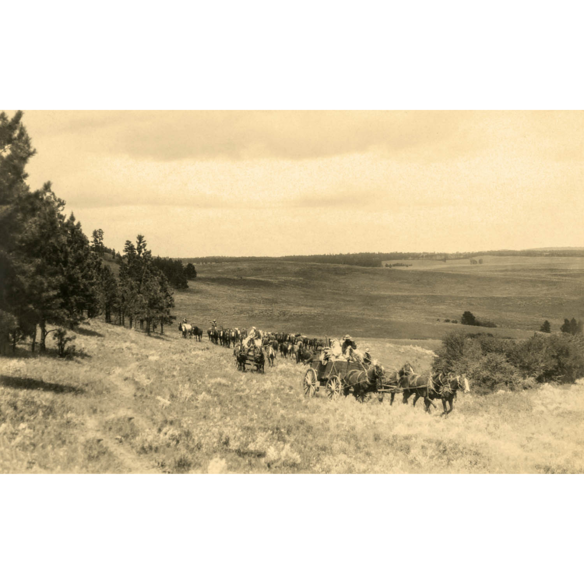 Bones Ranch: Herding Horses - ca. 1930 Photograph